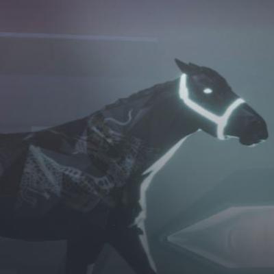 Zed Run Racing Zed Run Racing