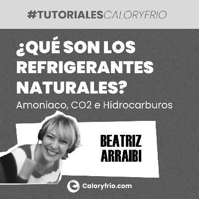 ¿Qué son los refrigerantes naturales? Amoniaco, CO2 e Hidrocarburos ¿Qué son los refrigerantes naturales? Amoniaco, CO2 e Hidrocarburos