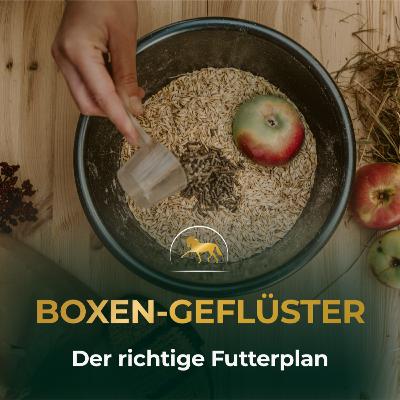 Der richtige Futterplan: Diese Warnzeichen hat Selina zu spät erkannt