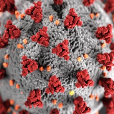 37/k20 Covid 19 37/k20 Covid 19