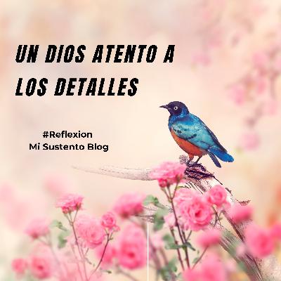 Un Dios atento a los detalles Un Dios atento a los detalles