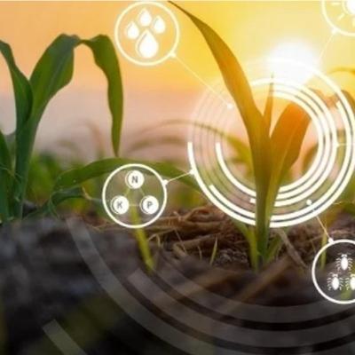 Agronomia/tecnologia.