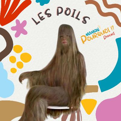 Les Poils (Rediffusion)