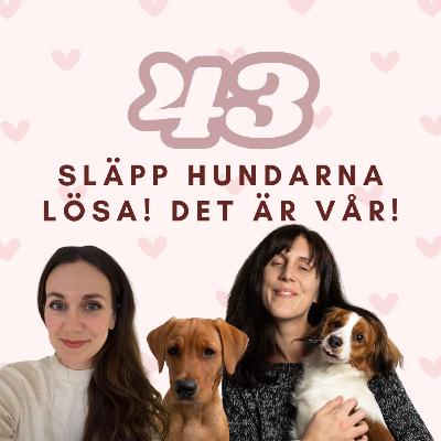 43. Släpp hundarna lösa det är vår!!! (typ)
