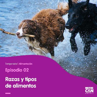 Obesidad y sobrepeso en nuestro mejor amigo Obesidad y sobrepeso en nuestro mejor amigo