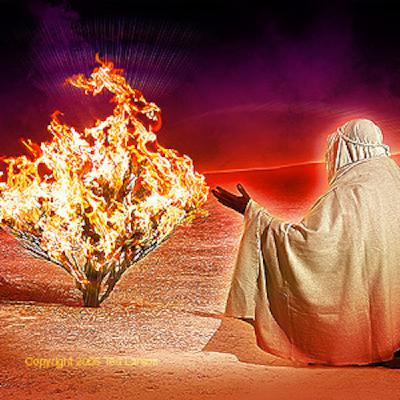 How can a good God allow human suffering? How can a good God allow human suffering?