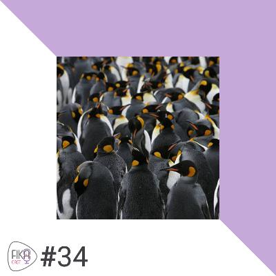 #34 هوموفیلی #34 هوموفیلی