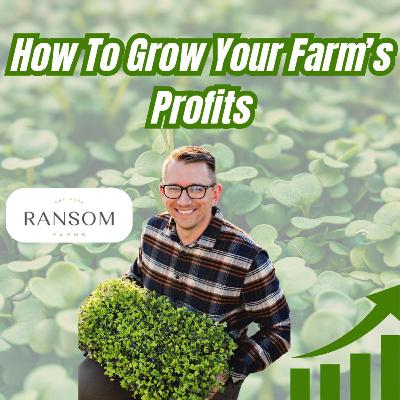 Are You Undercharging for Your Microgreens?