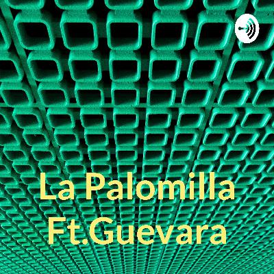 Pensamientos de un loco en el camion