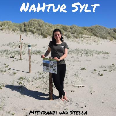 16 Wechsel in der Sylter Naturschutzbotschaft