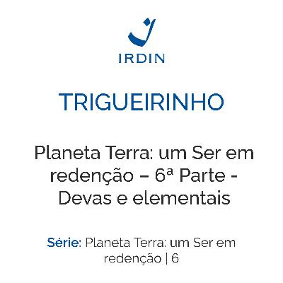 Planeta Terra: um Ser em redenção – 6ª Parte - Devas e elementais