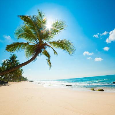 #166 Review Eté 2023