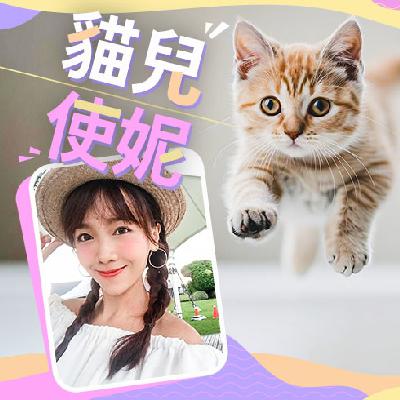 EP07|天氣變冷貓咪怎麼保暖 EP07|天氣變冷貓咪怎麼保暖
