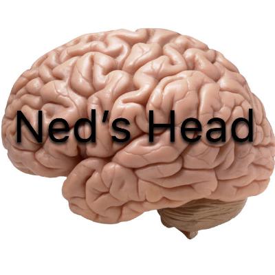 Walruses Are Underated