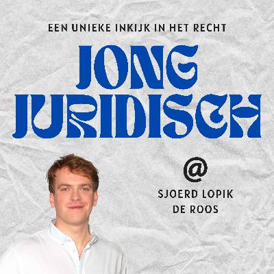 Sjoerd Lopik - Klimaatstrafrecht zonder franje: normeren, handhaven en eerlijk spel voor bedrijven
