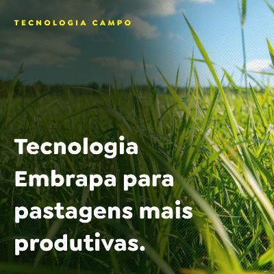 Tecnologia Embrapa para pastagens mais produtivas