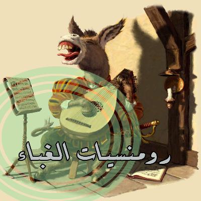 رومانسيات الغباء