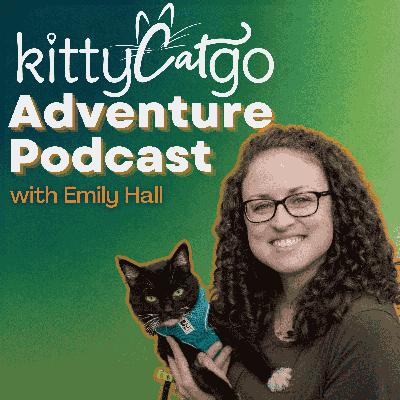 4:14 - How to Find a Reliable Pet Sitter for Your Cat