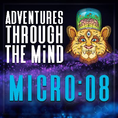 MICRO:08 - Accessing Psychedelic Experiences Through Authentic Relating Games; Accessing Shared Flow State, Sara Ness