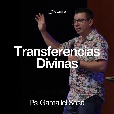 Transferencias Divinas Transferencias Divinas