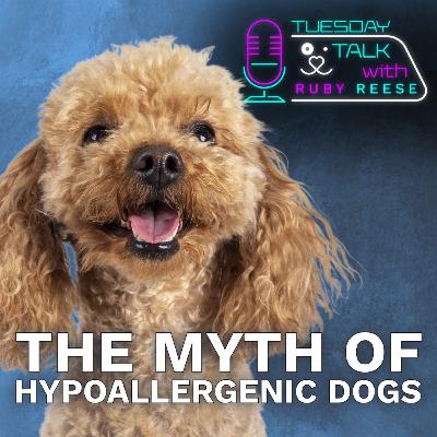 The Myth of Hypoallergenic Dogs The Myth of Hypoallergenic Dogs