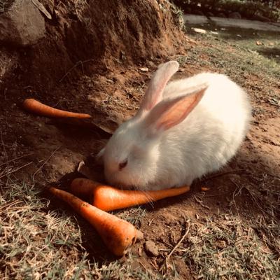 rumah mana yang ga bikin cape?