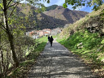 Perché il selvaggio conta per i bambini + La volpe d'Introbio