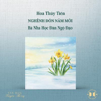 #232 Hoa thủy tiên nghênh đón năm mới, Bá Nha học đàn ngộ đạo | Văn hóa truyền thống #232 Hoa thủy tiên nghênh đón năm mới, Bá Nha học đàn ngộ đạo | Văn hóa truyền thống