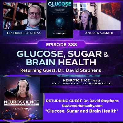 The Glucose Protocol: How Fueling Your Brain Restores Clarity with Dr. David Stephens