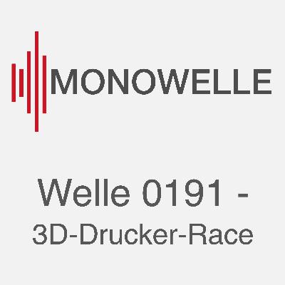 Welle 0191 - 3D-Drucker-Race