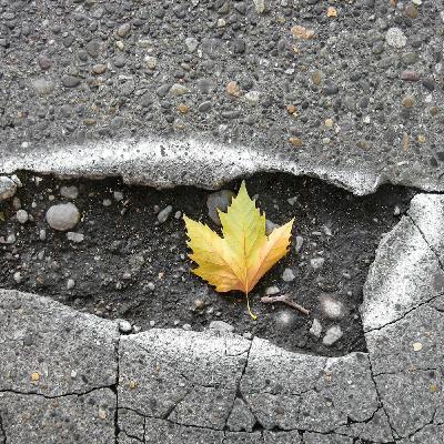 437: Autobiography in Five Chapters