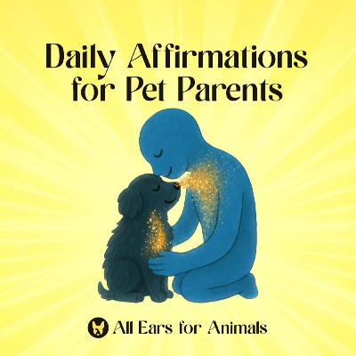 Night Time Affirmations - Rewire Your Subconscious as a Pet Parent