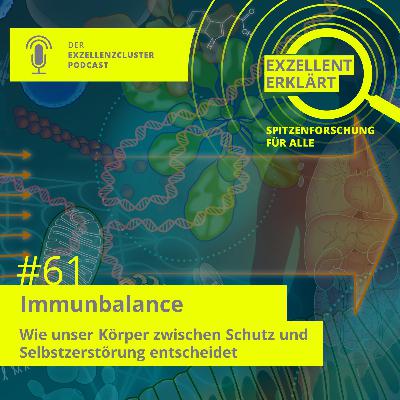 Immunbalance: Wie unser Körper zwischen Schutz und Selbstzerstörung entscheidet