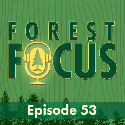 Episode 53: OHV Recreation on the Stanislaus National Forest