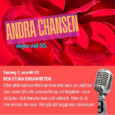 S2E3 DEN STORA ENSAMHETEN. S2E3 DEN STORA ENSAMHETEN.