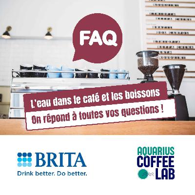 L'eau dans le café : On répond a vos questions ! L'eau dans le café : On répond a vos questions !
