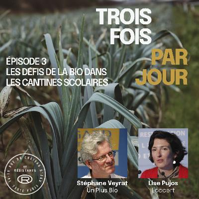 Épisode 3 : les défis de la bio dans les cantines scolaires, avec Stéphane Veyrat (Un Plus Bio) et Lise Pujos (Ecocert) Épisode 3 : les défis de la bio dans les cantines scolaires, avec Stéphane Veyrat (Un Plus Bio) et Lise Pujos (Ecocert)