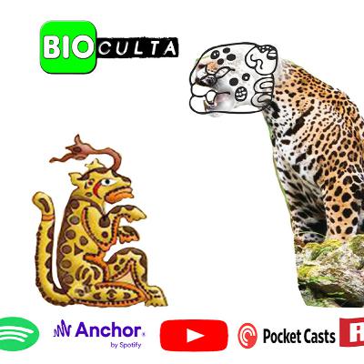 Balam, el sol nocturno