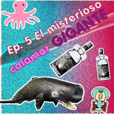 El misterioso calamar gigante