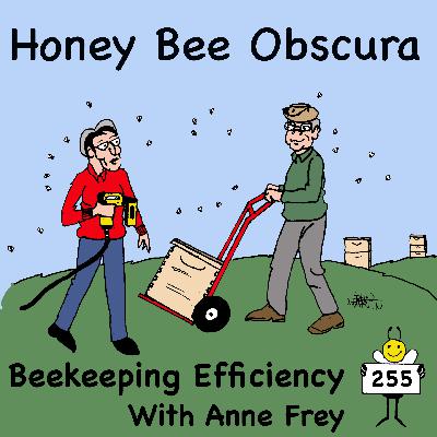 Beekeeping Efficiency with Anne Frey (255) Beekeeping Efficiency with Anne Frey (255)