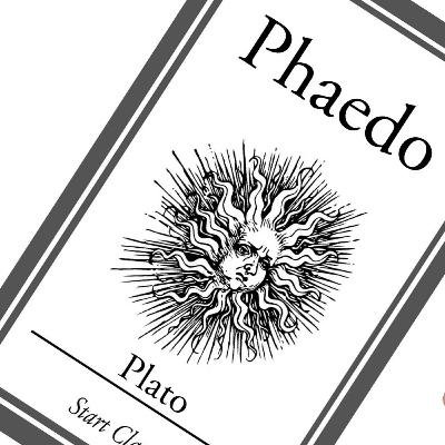 Platon: Bilgi Felsefesi, Ruhun Ölümsüzlüğü ve Öteki Dünya İnancı | Phaidon