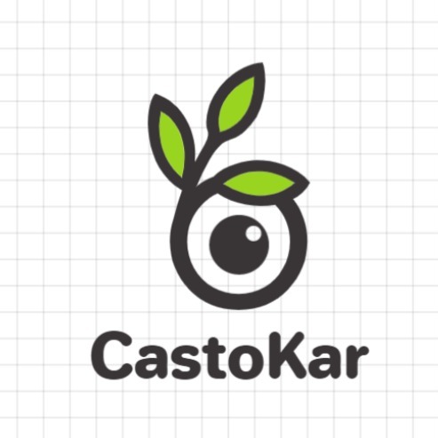 CastoKar (کست و کار)