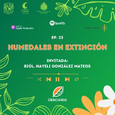 Ep. 23: Humedales en extinción con la Biól. Nayeli González