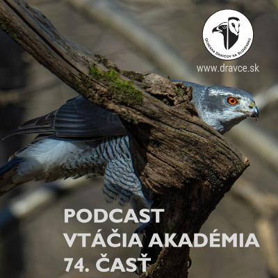 Vtáčie choroby Vtáčie choroby