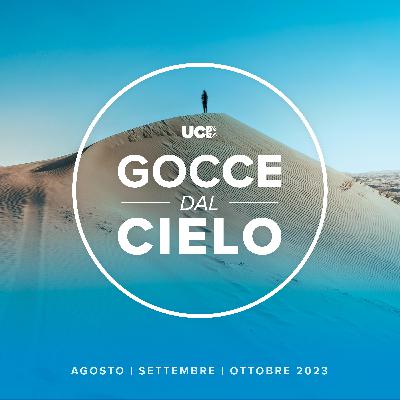 SEI IMPEGNATO FINO IN FONDO?