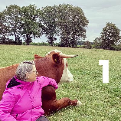 #79 En dan kunnen koeien ook nog spinnen, met taalkundige Leonie Cornips dl 1