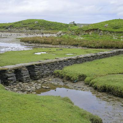 Ireland is an island of good food and value for money!