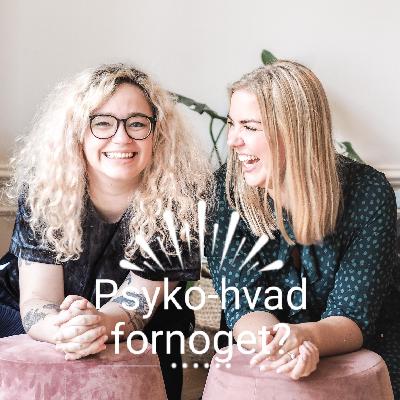 Psyko-hvadfornoget introafsnit
