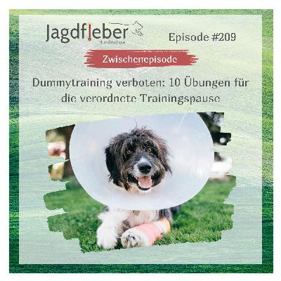 P209: Dummytraining verboten: 10 Übungen für die verordnete Trainingspause P209: Dummytraining verboten: 10 Übungen für die verordnete Trainingspause