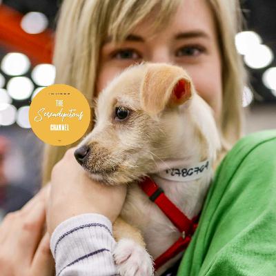 Furry Families #502LeaderSeries Podcast Furry Families #502LeaderSeries Podcast